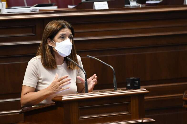 Carmen Hernández, durante una intervención en el Parlamento canario / TA